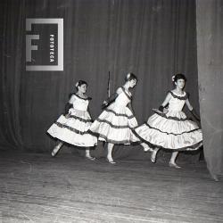 Eventos Sociales Varios