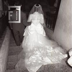 Eventos Sociales Varios