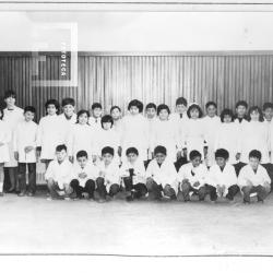 FONDOS PEQUEÑOS - FAMILIA TRONCOSO