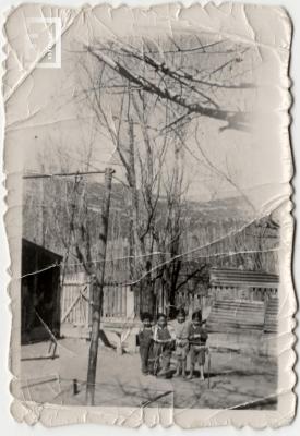 Fotografías