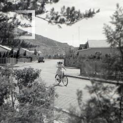 Fotos Varias